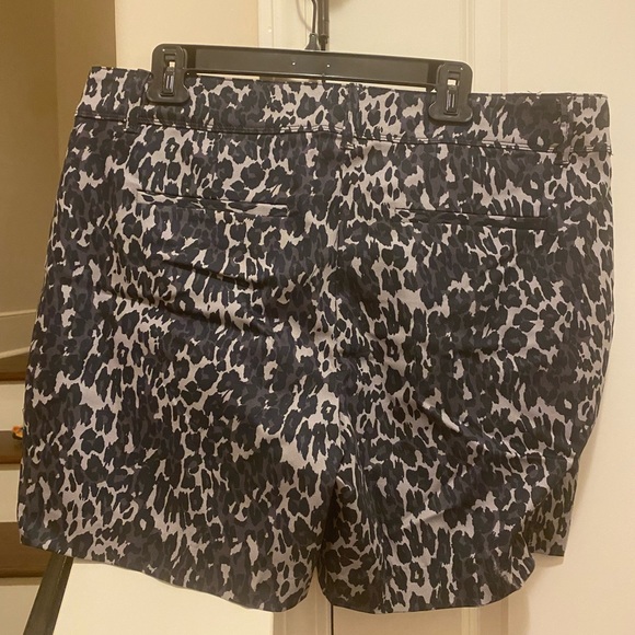 NWT - Picture 2 of 2